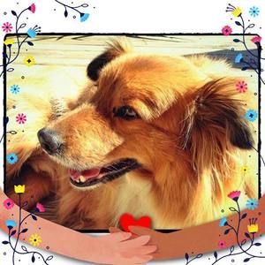 Meet your Posher, Lynne